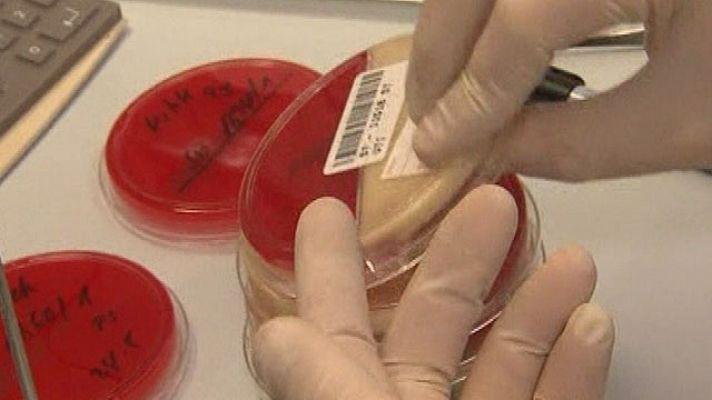 Telediario 1 - La infección no viene de España