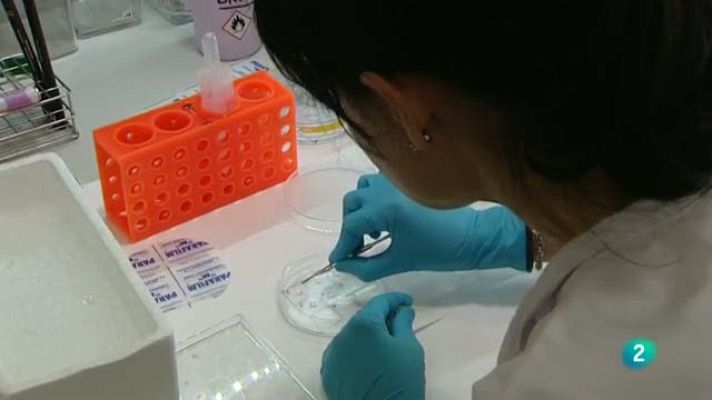 Para todos La 2 - Hepatitis y cáncer de hígado