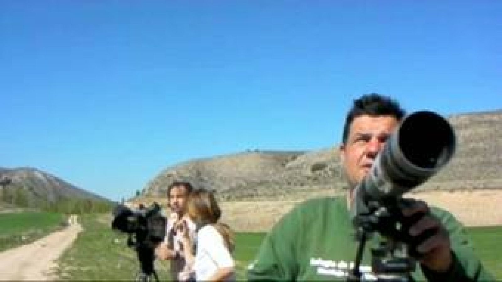 El escarabajo verde -  El alimoche - avance