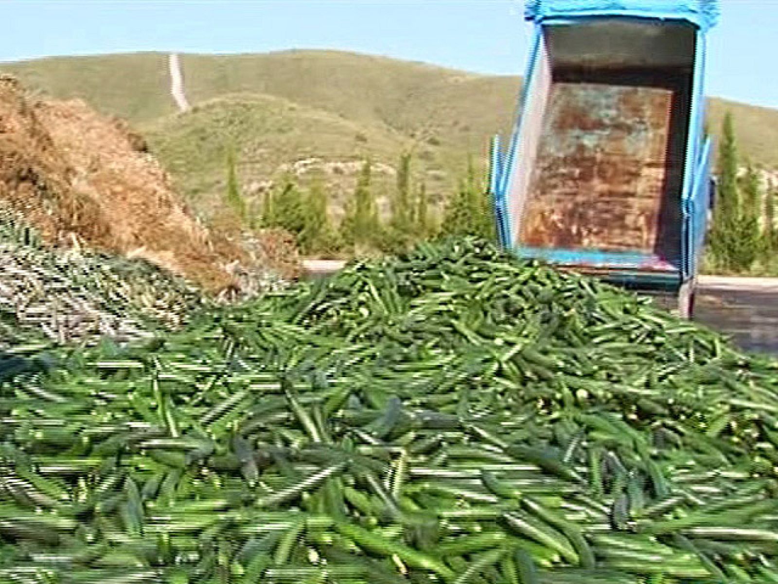 España Directo - Pepinos a la basura