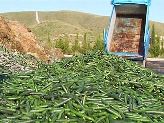 España Directo - Pepinos a la basura