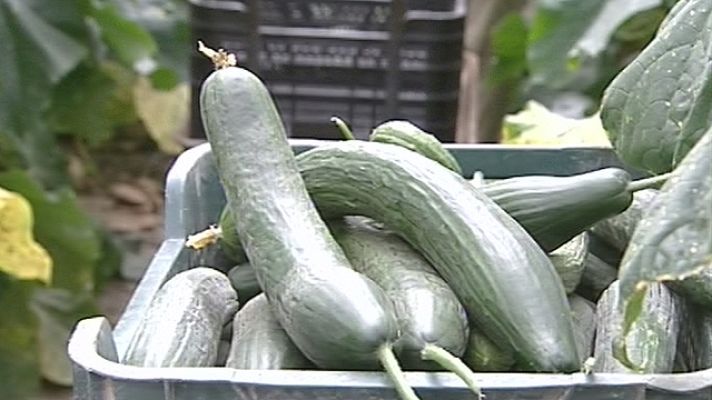 Telediario 1 - Telediario 1 en 4' - 01/06/11