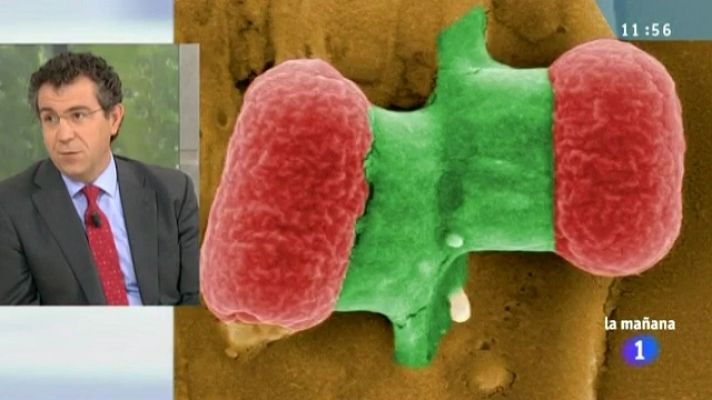 La mañana - La mañana de La 1 - 01/06/11