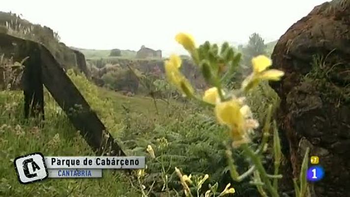 Comando Actualidad - Con vistas al parque - Cabárceno