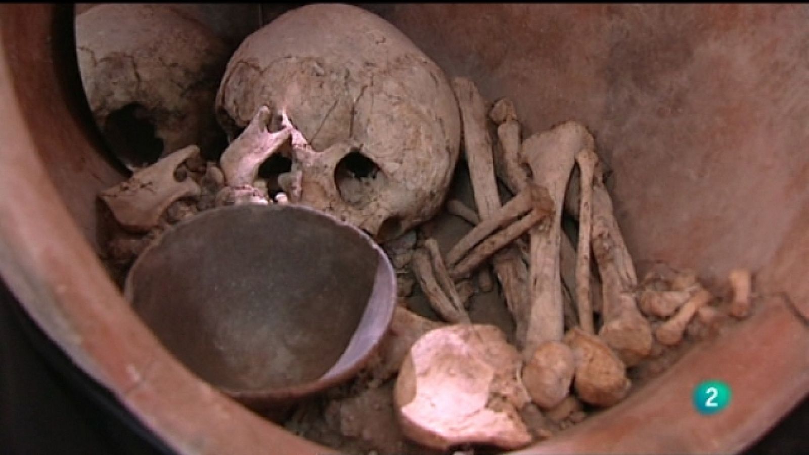 La aventura del saber - 02/06/11 - Ver ahora