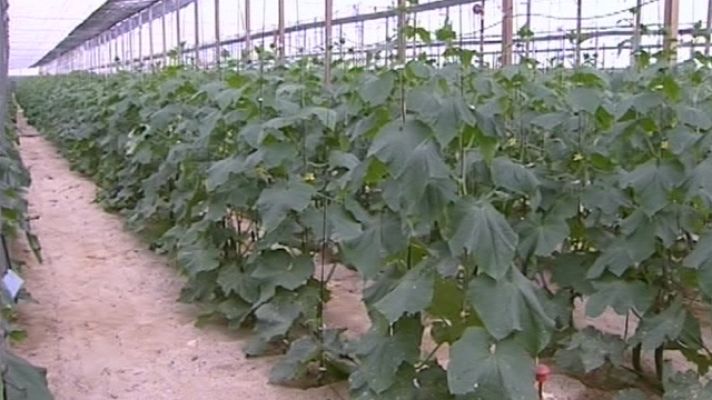 Telediario 1 - Almería tardará en remontar