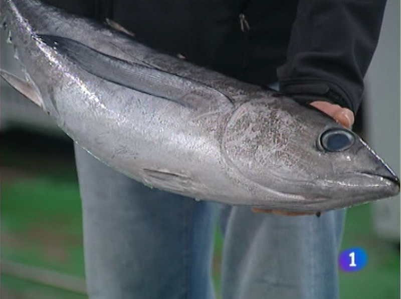 Panorama Regional en 2' - 03/06/11 | Ver