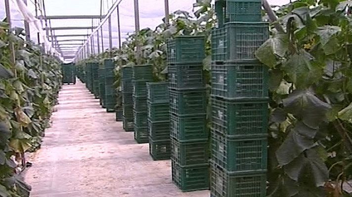 Telediario 1 - Hamburgo, abre su mercado