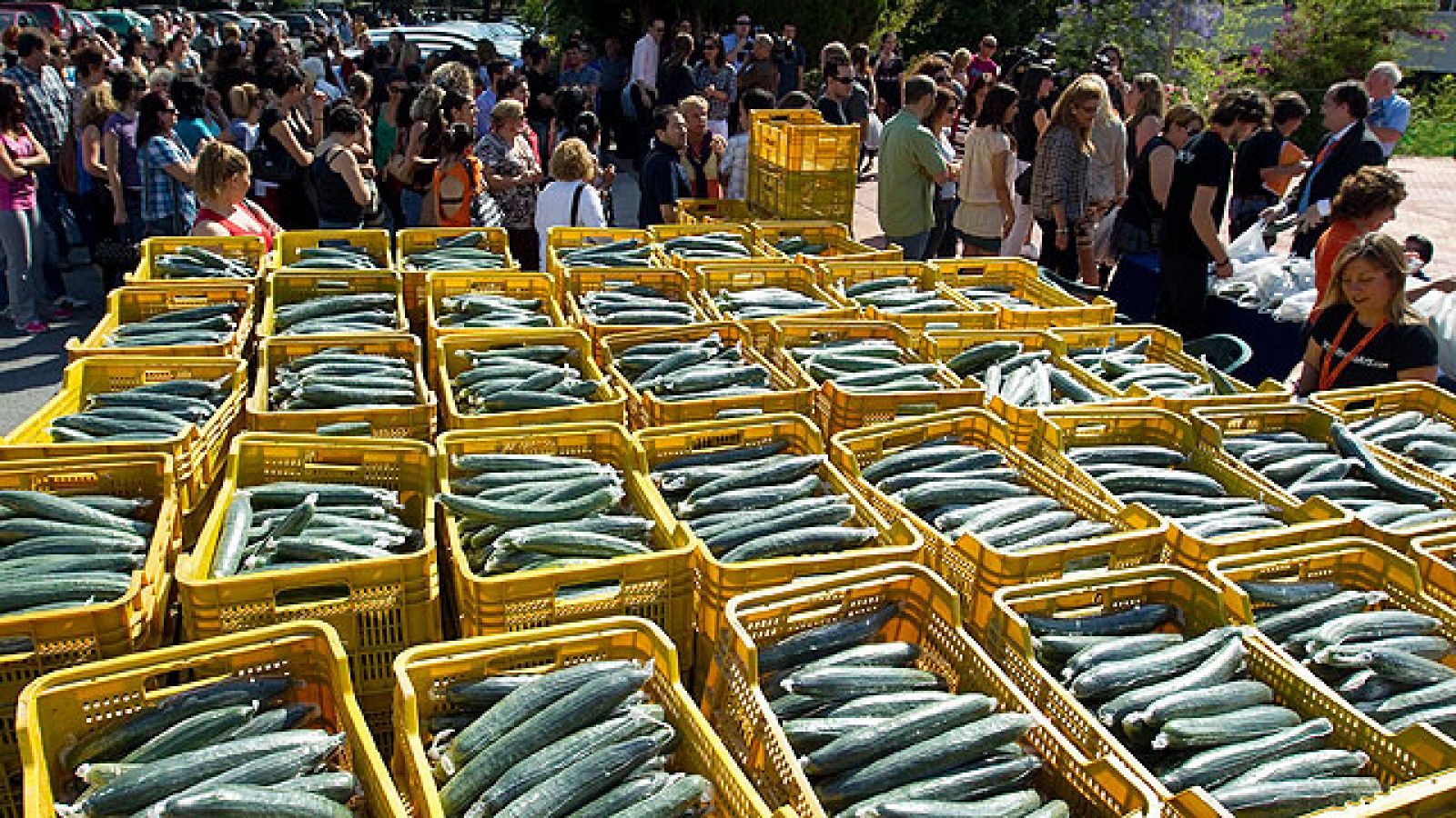 Alemania hace frente a la mayor epidemia de las últimas décadas