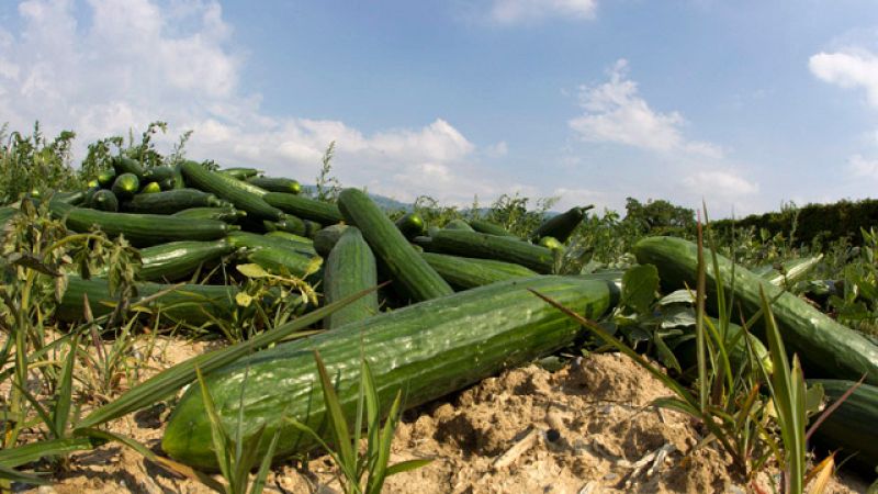 Telediario Matinal en cuatro minutos fin de semana - 04/06/11 | Ver