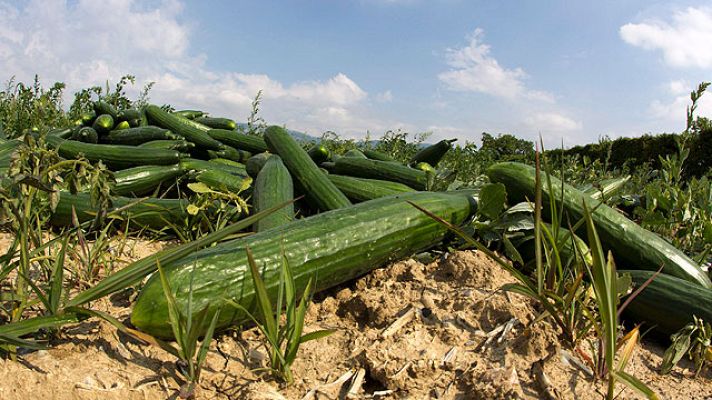 Telediario 1 - El origen de la bacteria