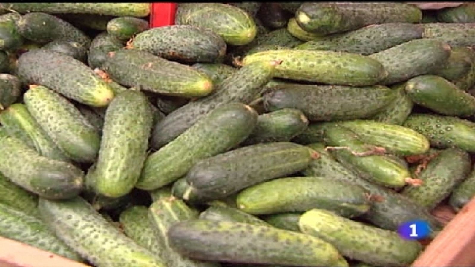 Telediario - 21 horas - 04/06/11 - Ver ahora