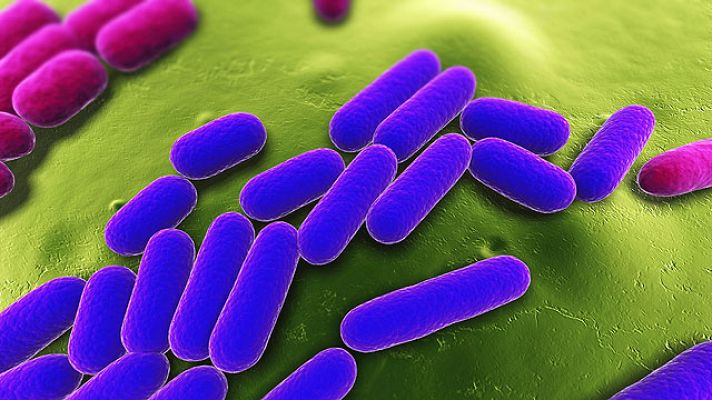 Telediario 1 - Reunión con el Gobierno alemán