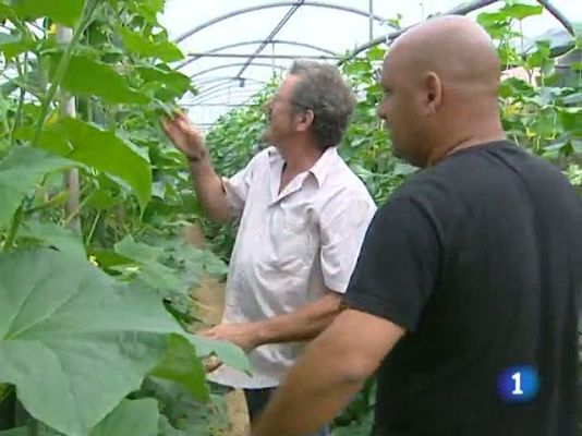 L'Informatiu - L'informatiu en 3 minuts - 6/06/2011