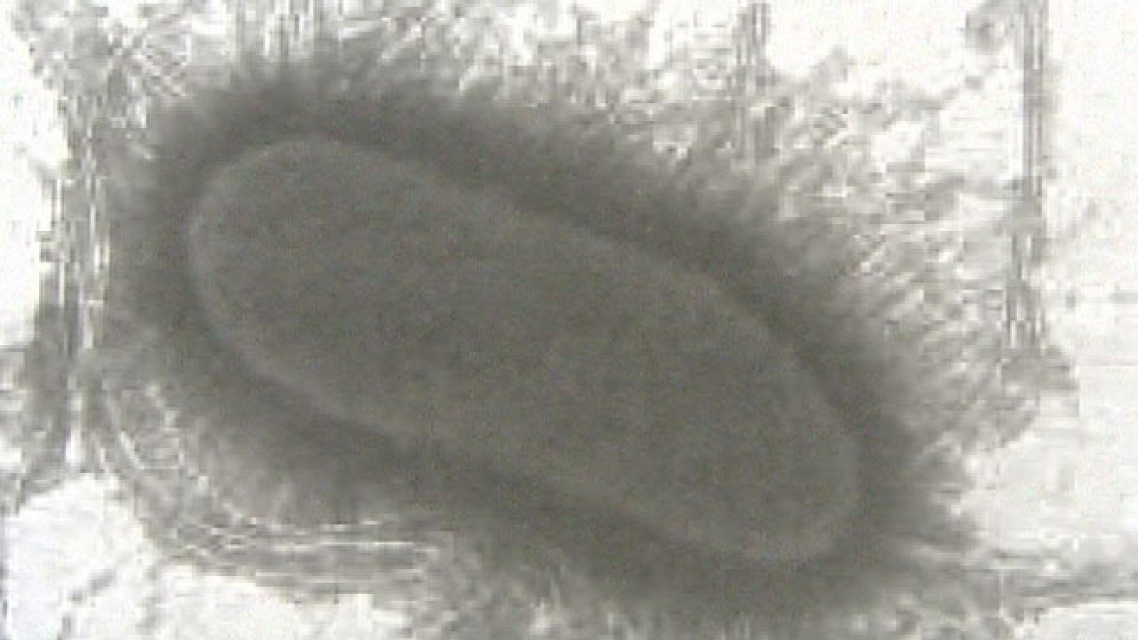 Telediario 1 en 4' - 06/06/11