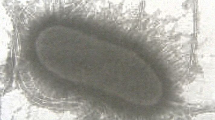 Telediario 1 - Telediario 1 en 4' - 06/06/11