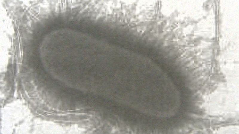 Telediario 1 en 4' - 06/06/11