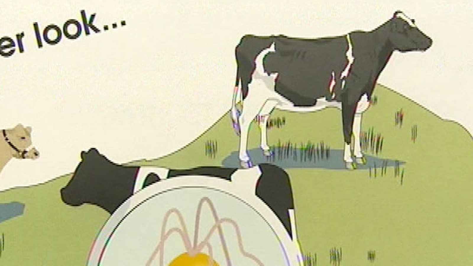 La crisis alimentaria puede tener el origen en una granja de Baja Sajonia