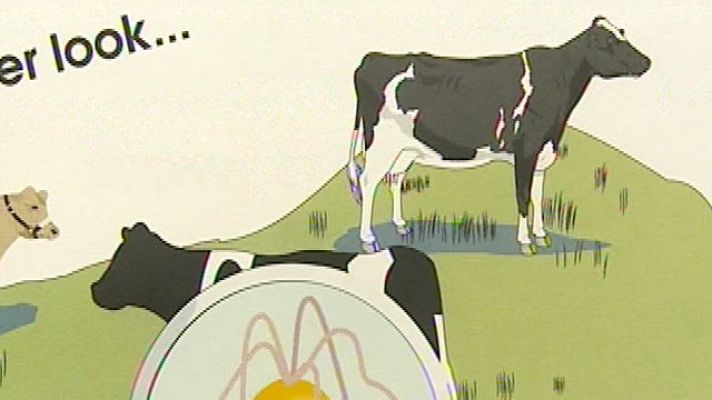 Telediario 1 - Baja Sajonia origen del E.Coli