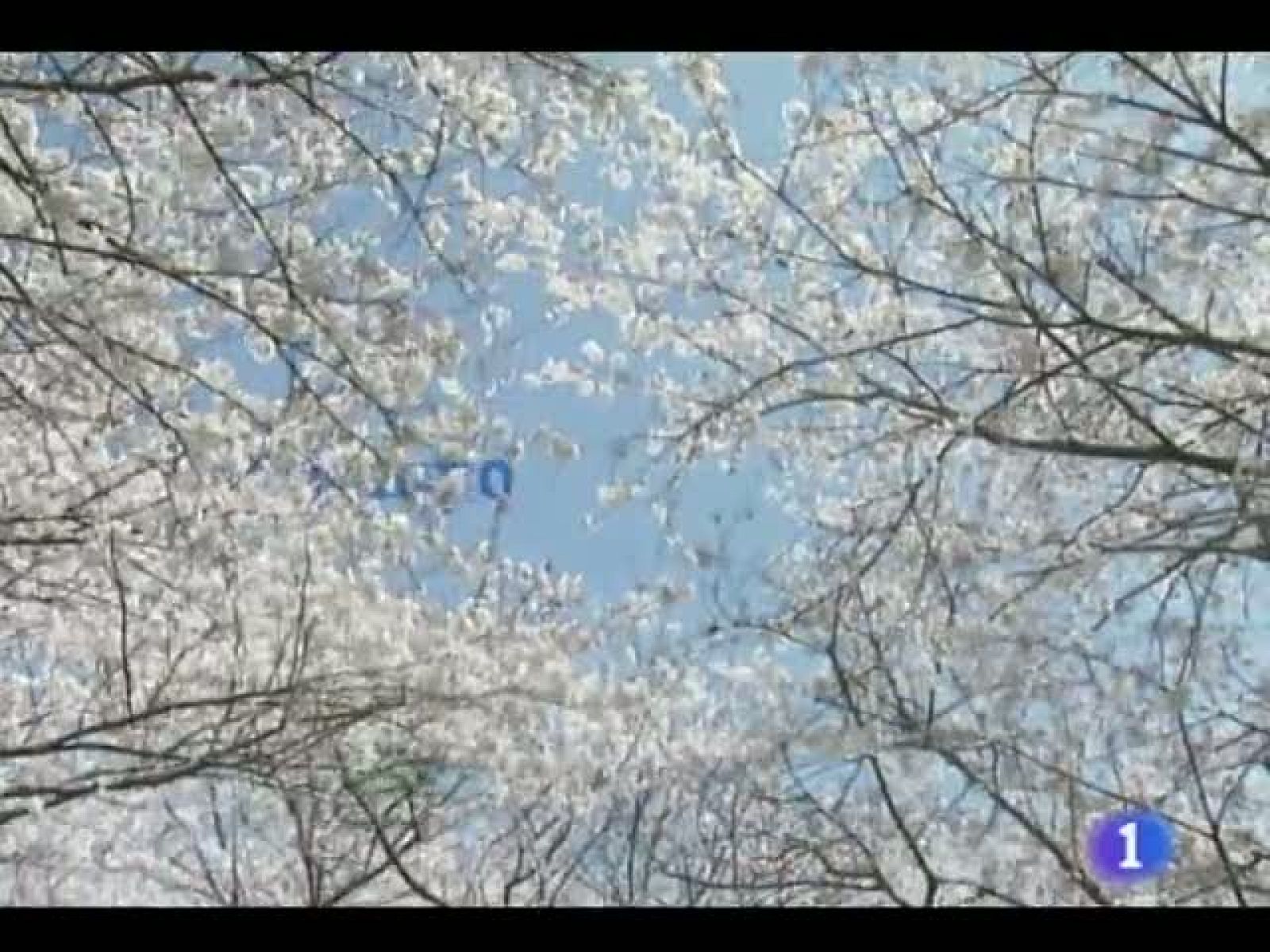 El tiempo en Castilla y León -  06/06/11