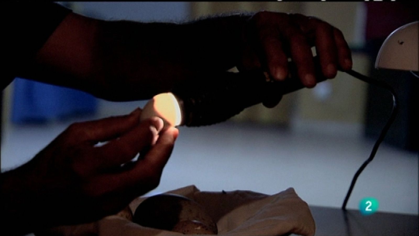 Biodiario - 06/06/11 - Ver ahora