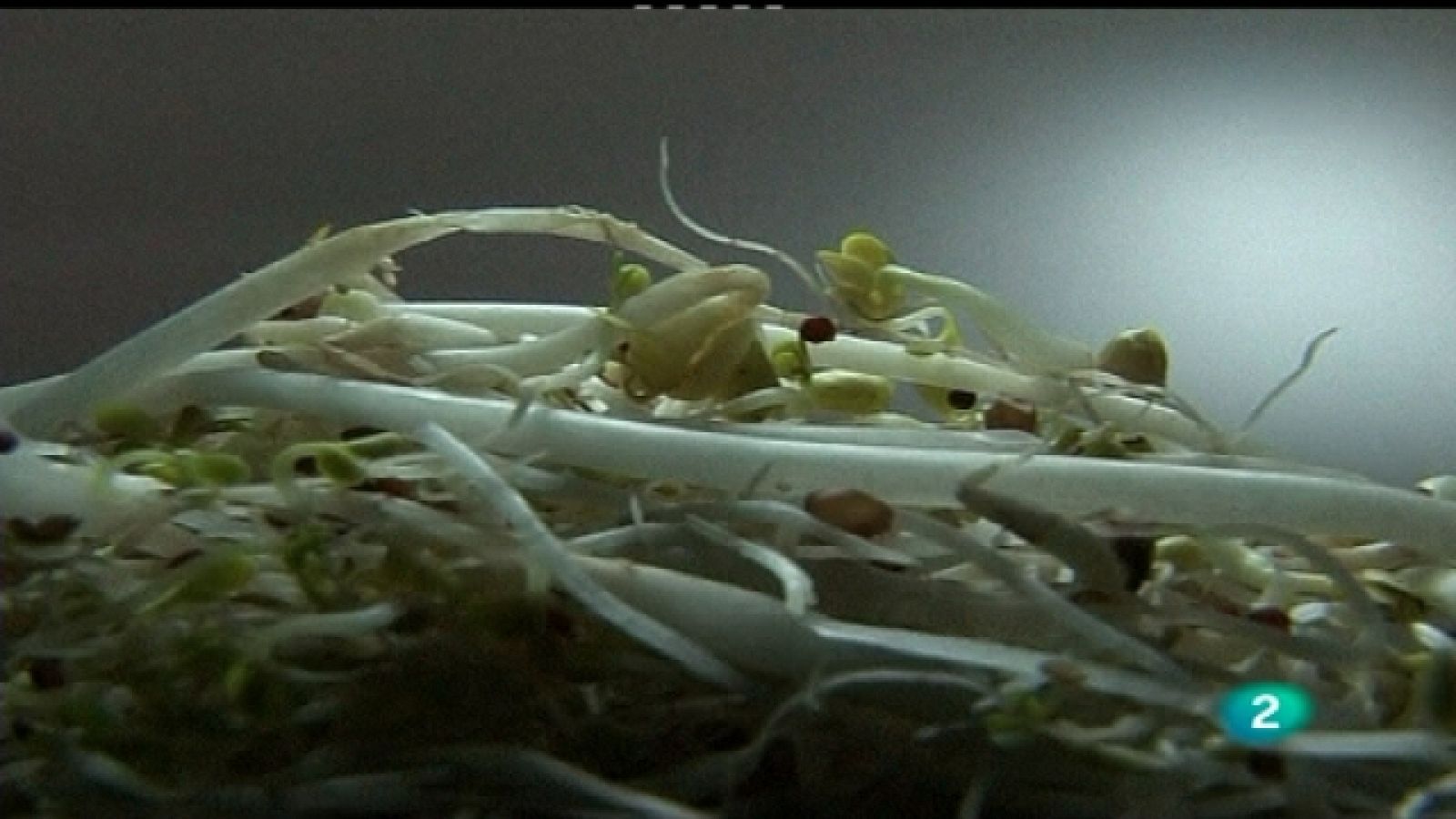 La 2 Noticias - 06/06/11 - Ver ahora