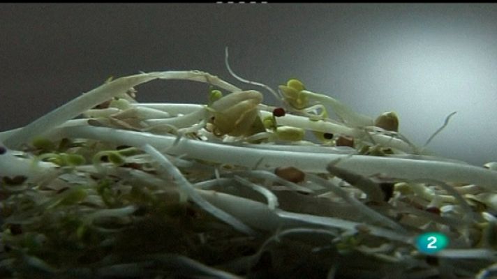 La 2 Noticias - La 2 Noticias - 06/06/11