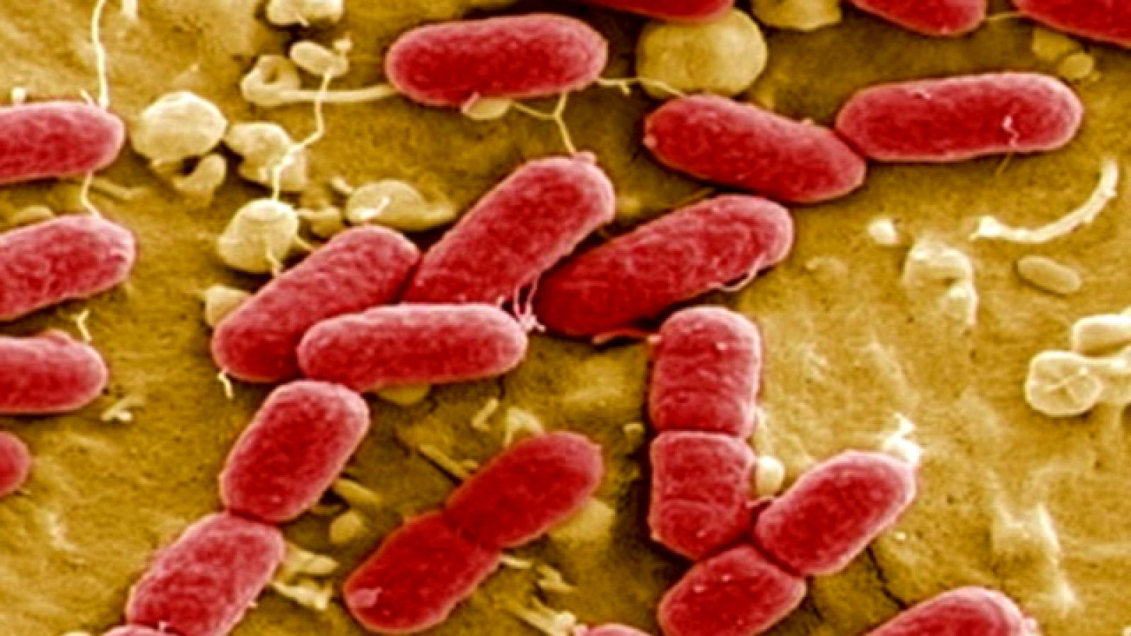 Telediario 1 en cuatro minutos - 07/06/11