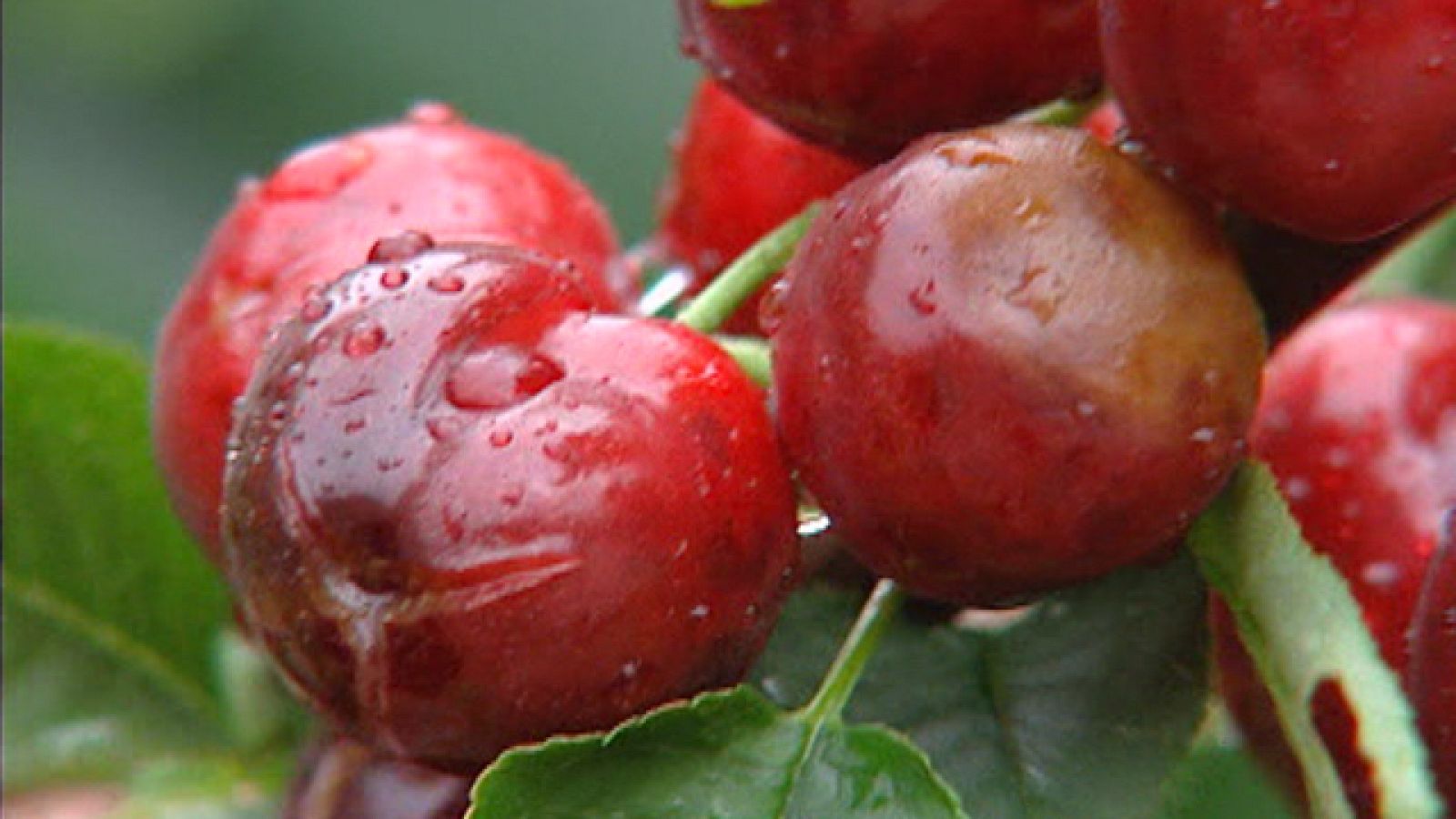 23 provincias están en alerta por lluvias y tormentas