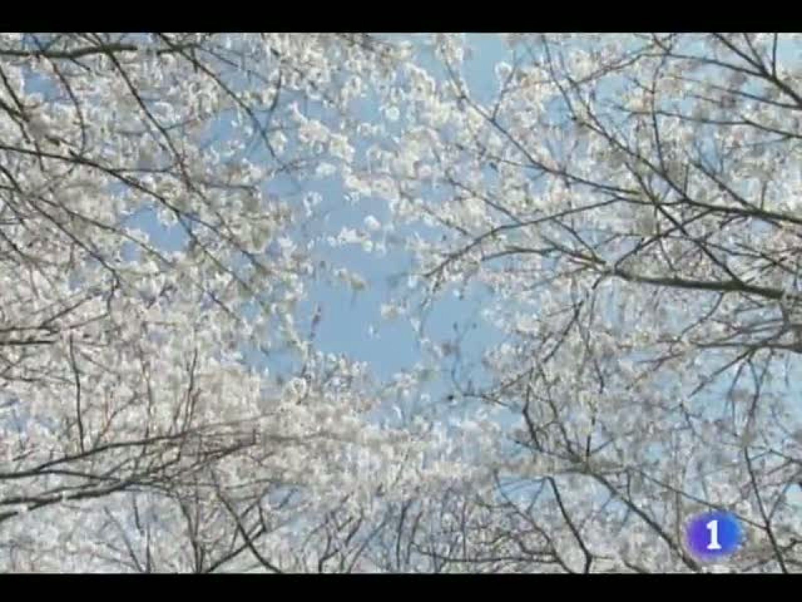 El tiempo en Castilla y León - 07/06/11