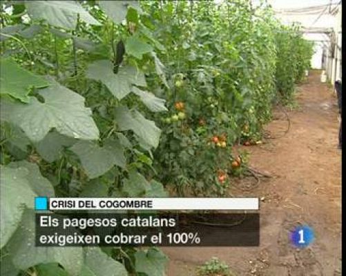 L'Informatiu - L'informatiu en 3 minuts - 08/06/2011