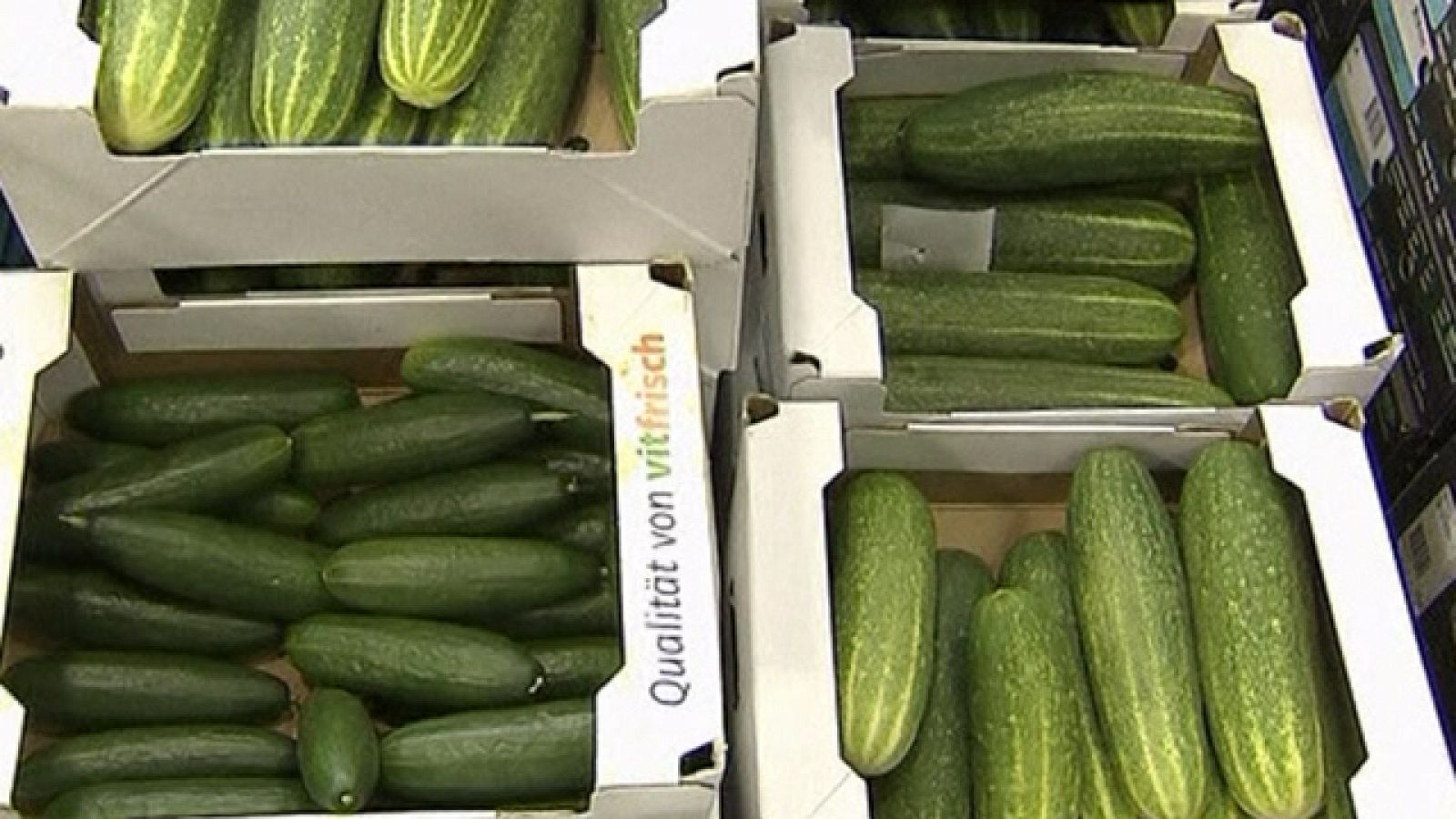 Alemania mantiene la recomendación de no consumir verdura cruda