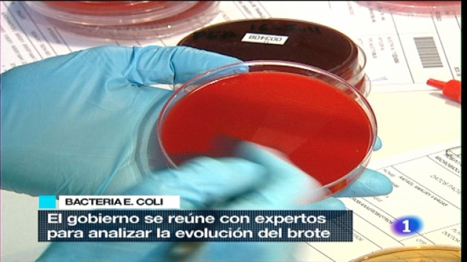 Telediario - 15 horas - 08/06/11 - Ver ahora