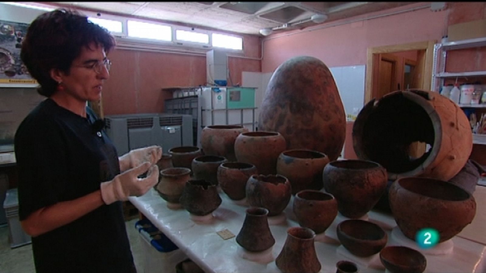 La aventura del saber - 09/06/11 - Ver ahora