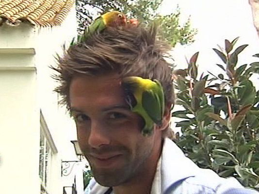 España Directo - Mis amigos los agapornis