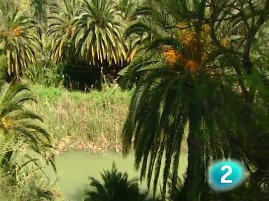 Palabra por palabra - El lenguaje de un balneario