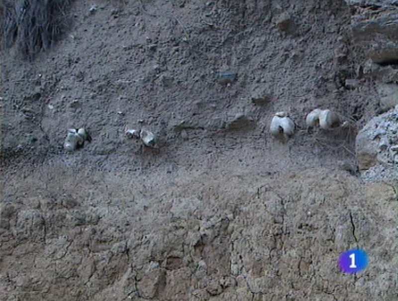 Panorama Regional en 2' - 10/06/11 | Ver