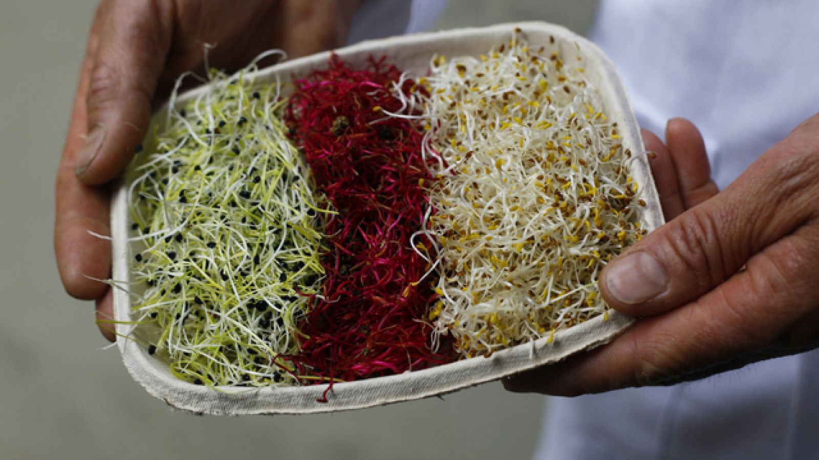 Telediario 1 en cuatro minutos - 10/06/11