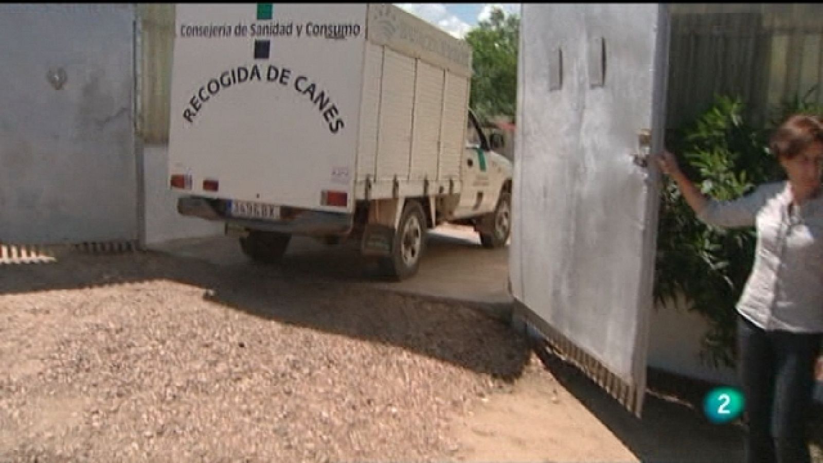 El escarabajo verde - Mascotas: adoptar o morir (1) - Ver ahora