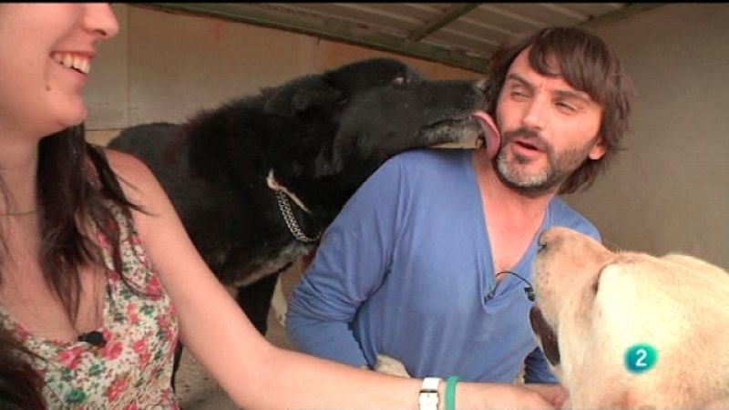 En movimiento con - Fernando Tejero