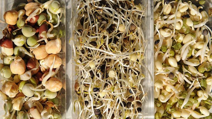 Telediario 1 - Pérdidas por E.Cóli