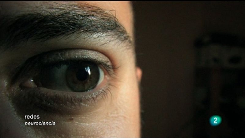 Redes - Ver el mundo en estéreo (entrevistas en V.O. inglesa)