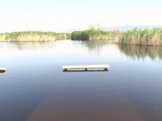 España Directo - Las Tablas de Daimiel