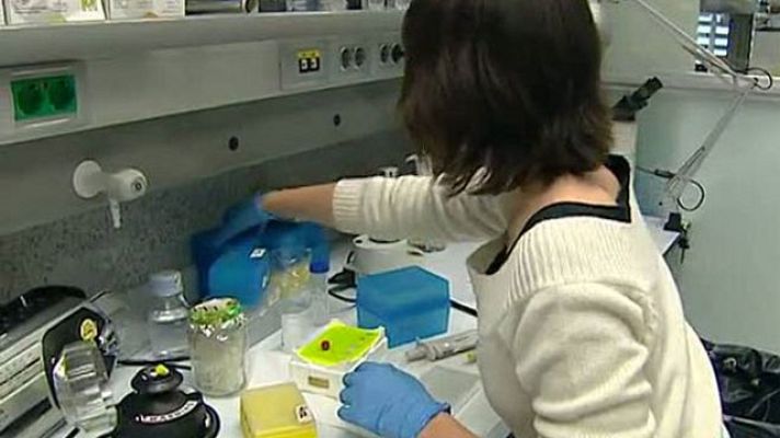 Telediario 1 - Investigaciones médicas