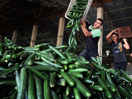 Informativo 24h - La UE vota las ayudas del pepino