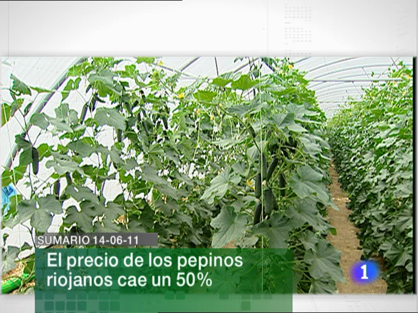 Telerioja en 2' - 14/06/11 | Ver