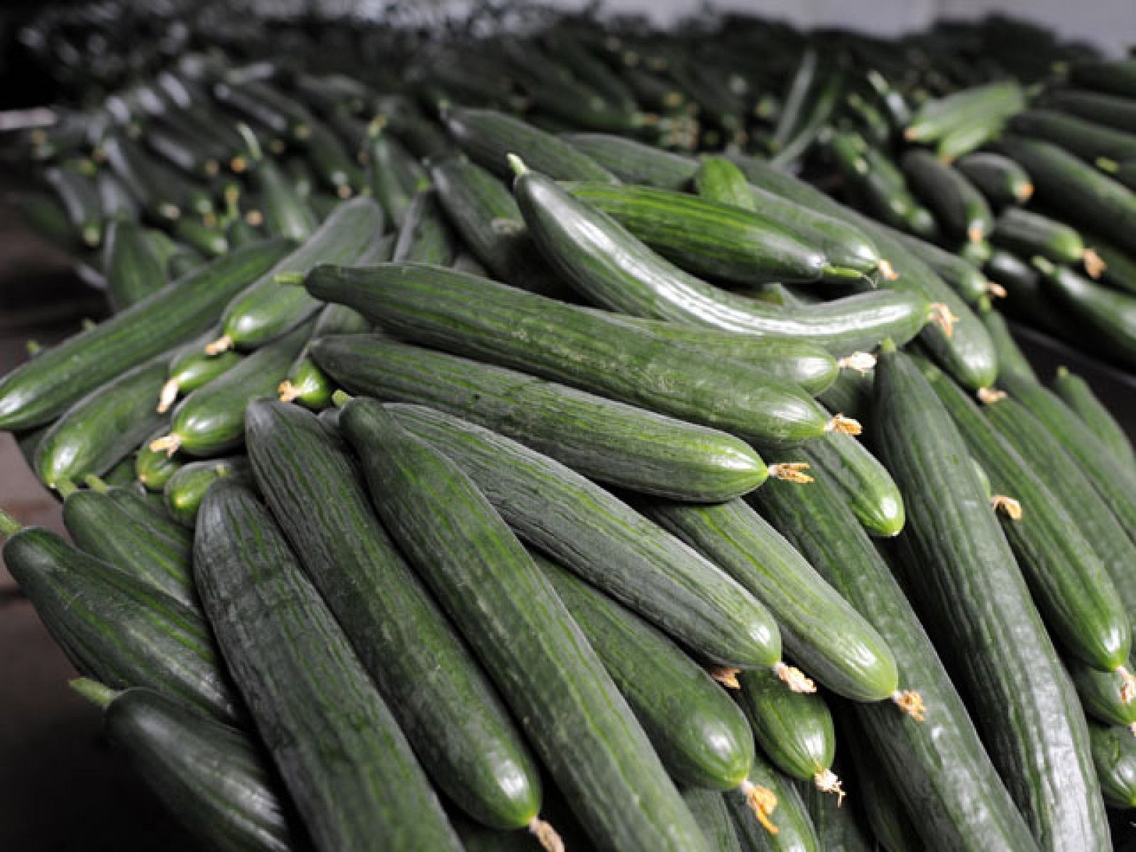 Telediario 2 en cuatro minutos - 14/06/2011