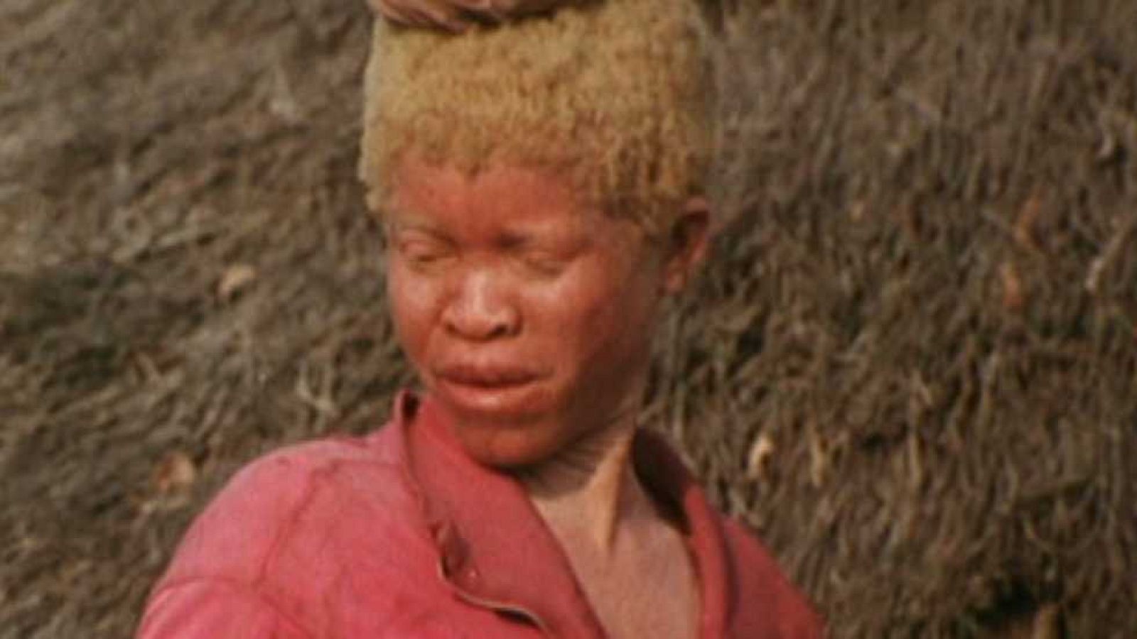 Los últimos indígenas (africanos y asiáticos) - Vatwa - Ver ahora