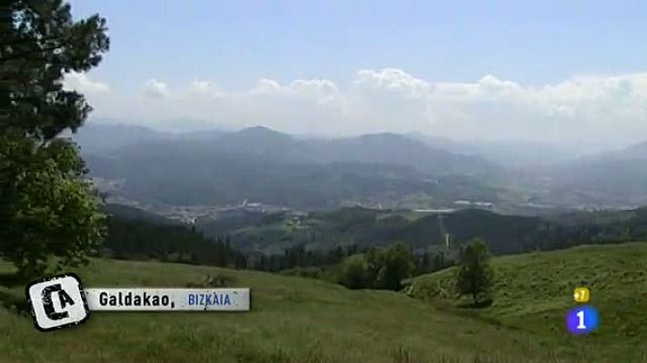 Comando Actualidad - Cumpleaños campestre