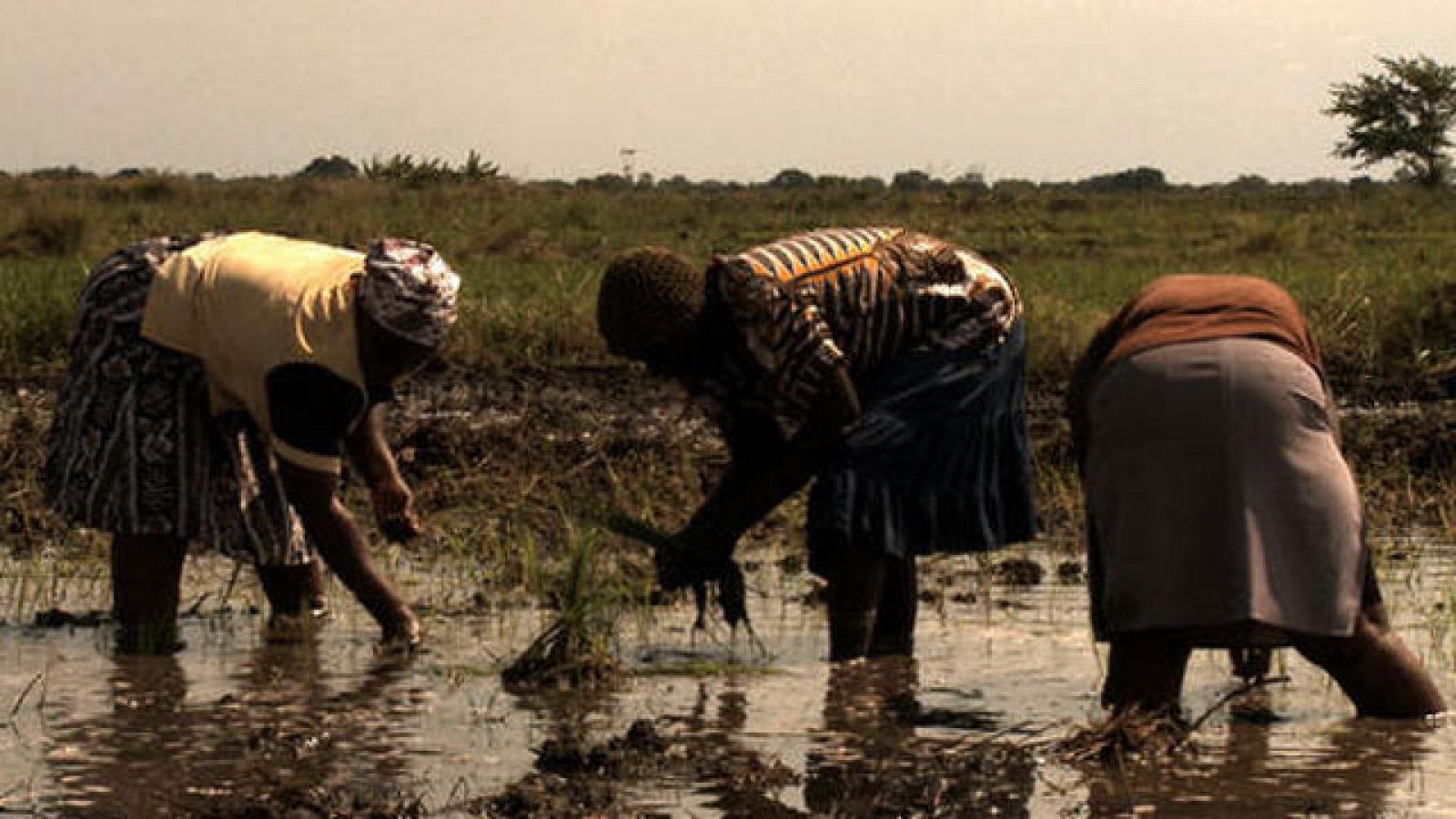 Días de cine: 'Voces desde Mozambique' | Ver